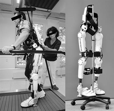 Treadmill Training with HAL Exoskeleton—A Novel Approach for Symptomatic Therapy in Patients with Limb-Girdle Muscular Dystrophy—Preliminary Study